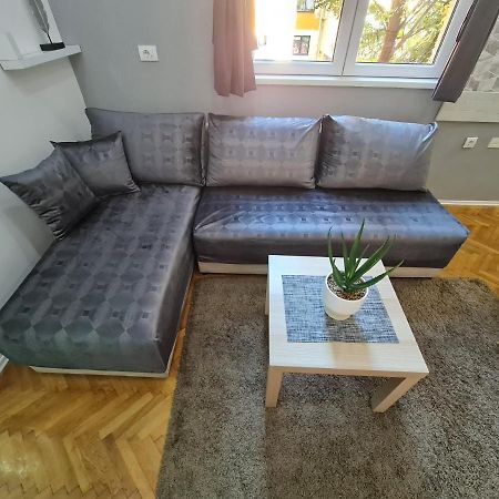 Nikola Tesla City Walk Lejlighed Ni Eksteriør billede